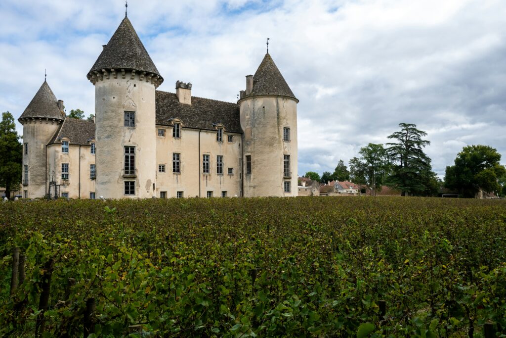 saint-emilion vs medoc wine comparison